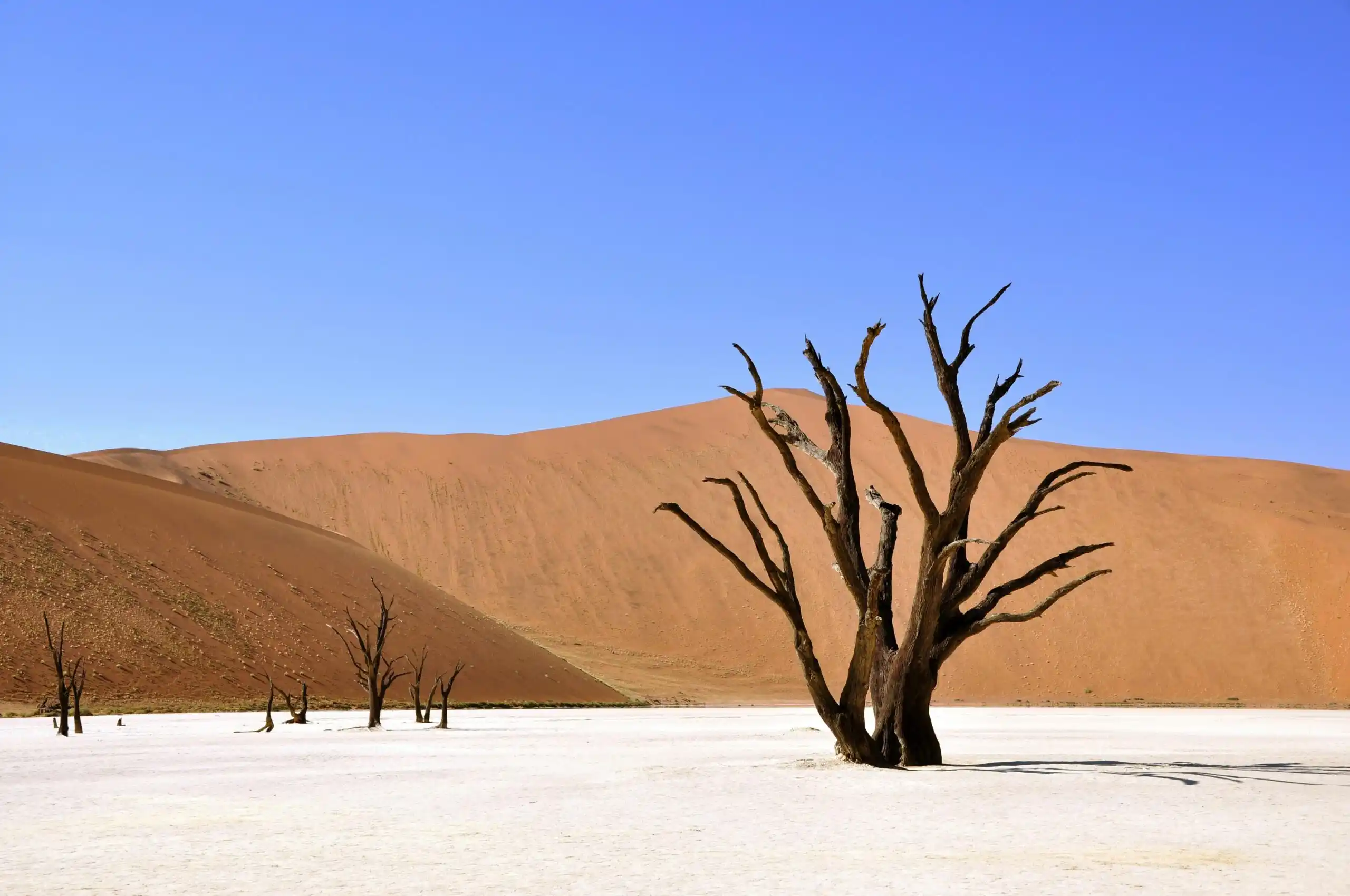 HIGHLIGHTS NAMIBIA
