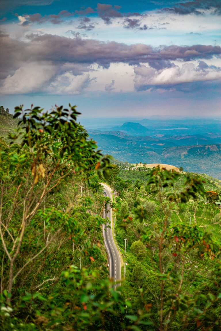 CAPODANNO IN SRI LANKA - foto 4