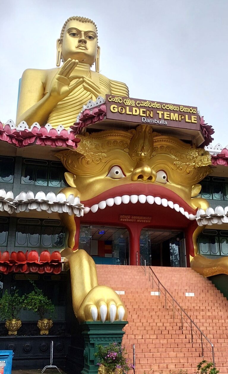 CAPODANNO IN SRI LANKA - foto 2