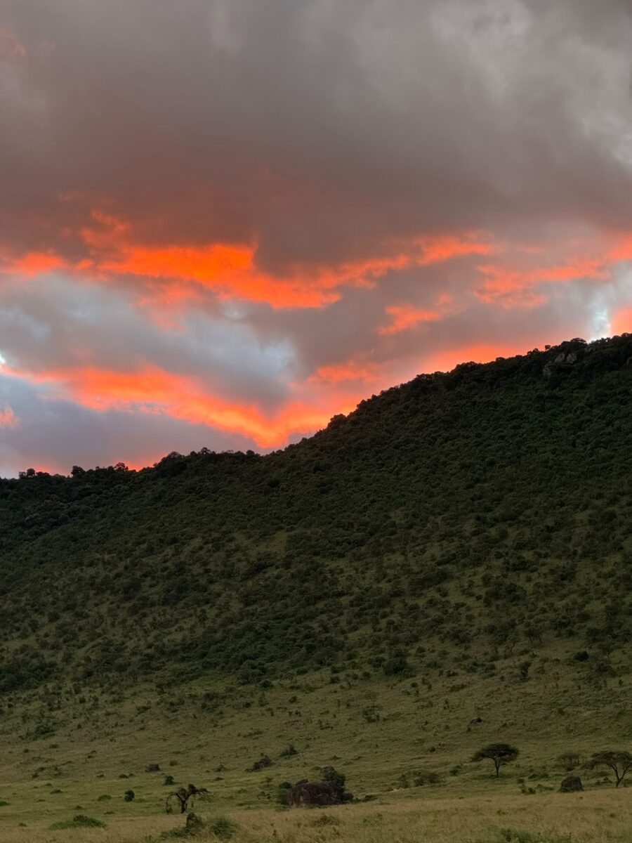 PANORAMA SUDAFRICANO GLAMPING - Foto 5