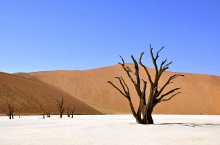 HIGHLIGHTS NAMIBIA